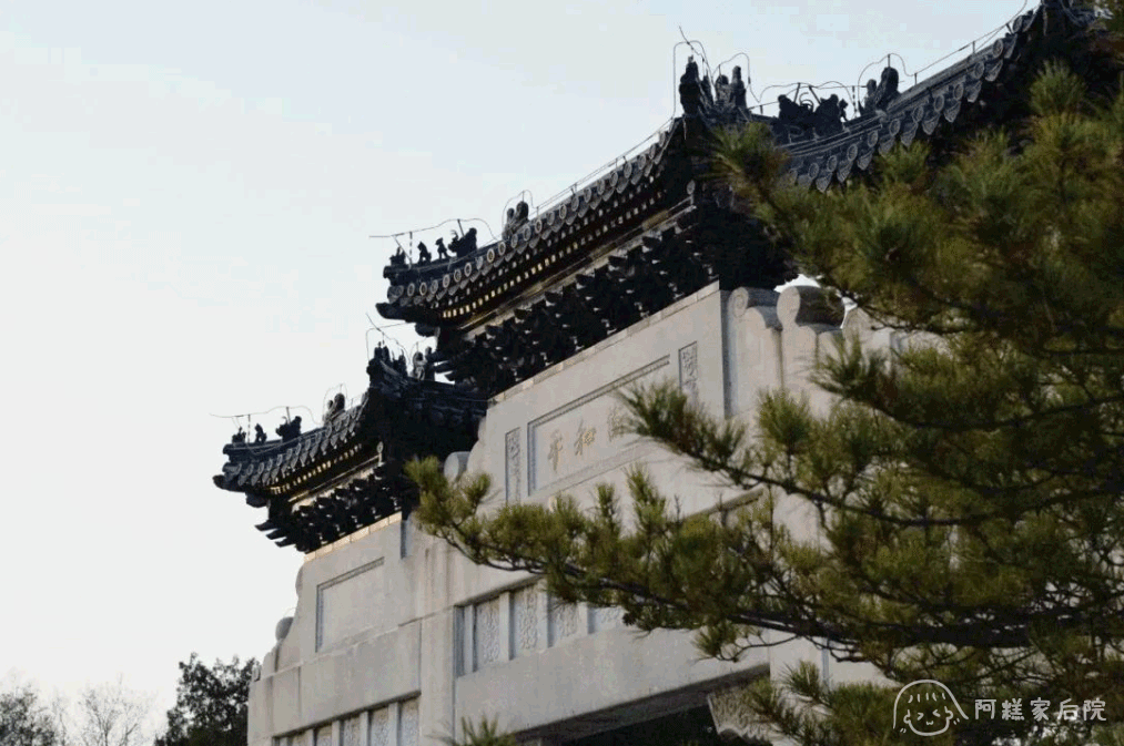 请输入图片描述