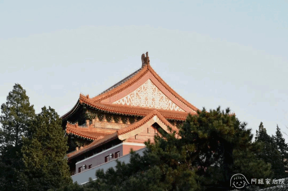 请输入图片描述