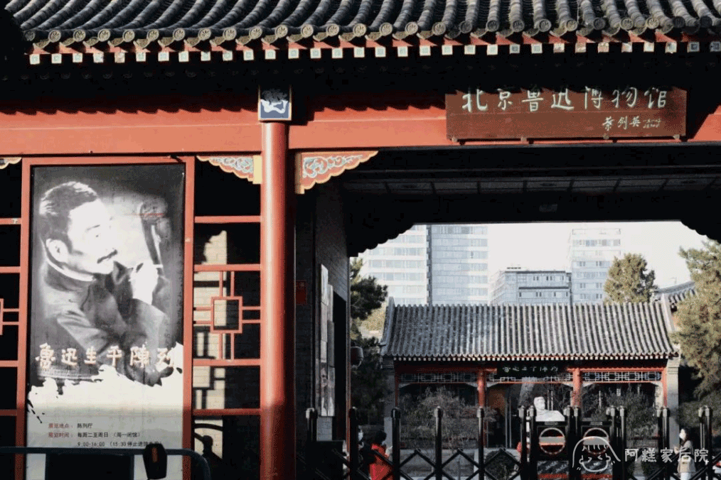 请输入图片描述