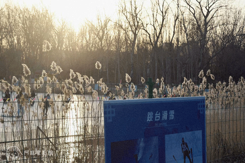 疫情放开后的第一次游玩头图